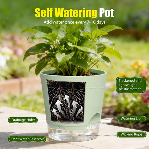 SQKH clear saucer included with pot for mess-free watering