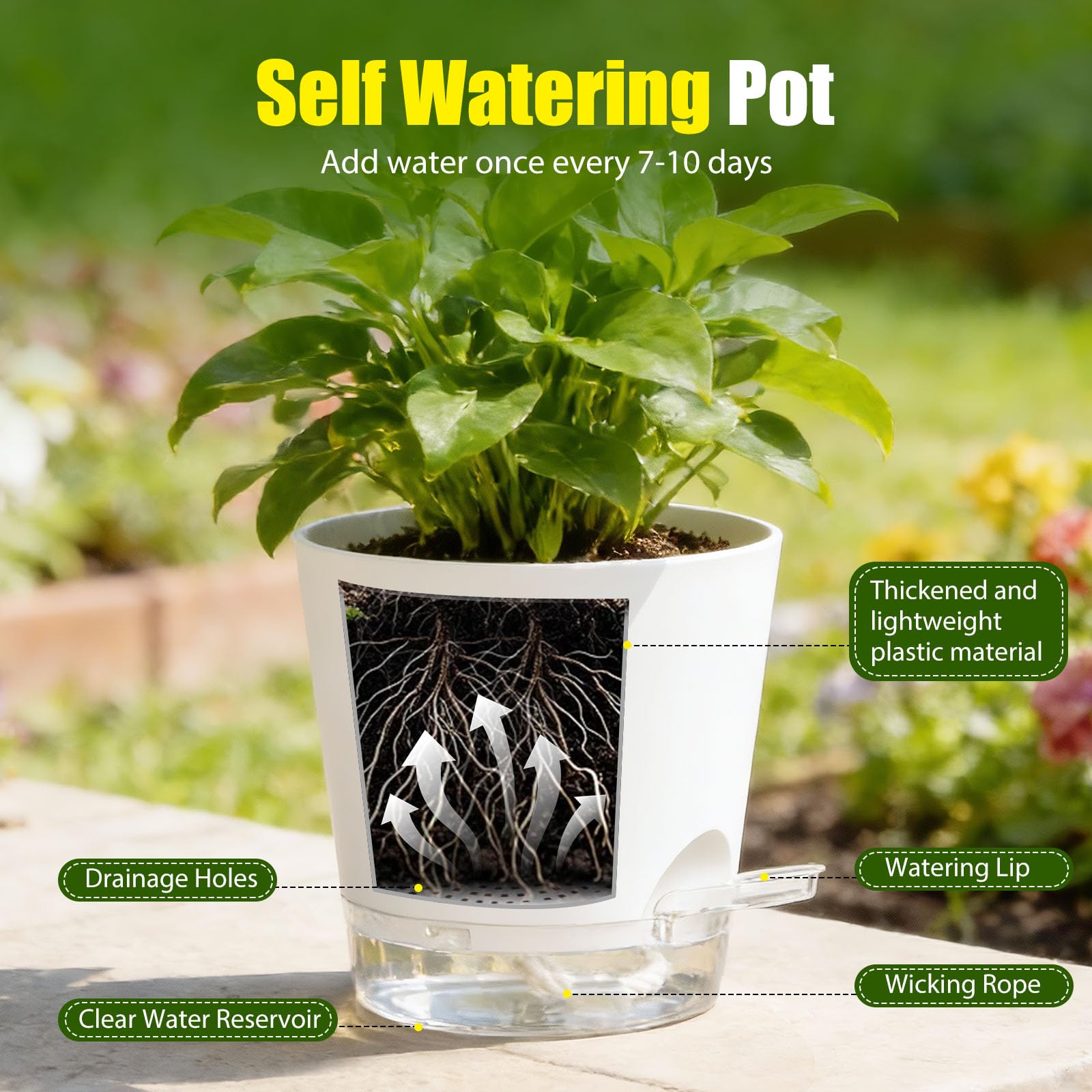 SQKH drainage holes with clear saucers prevent overwatering and spills.
