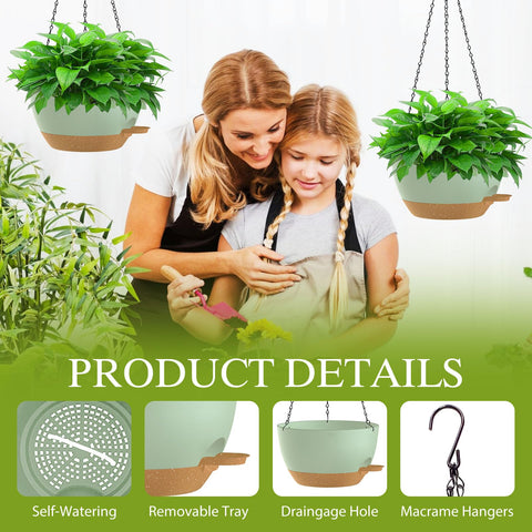 SQKH drainage holes promote airflow and prevent overwatering for healthy roots.