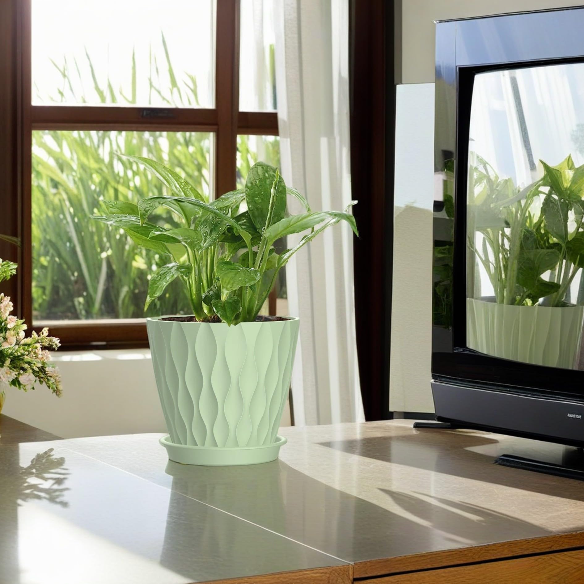 SQKH home decor planter for orchids, succulents, and herbs.