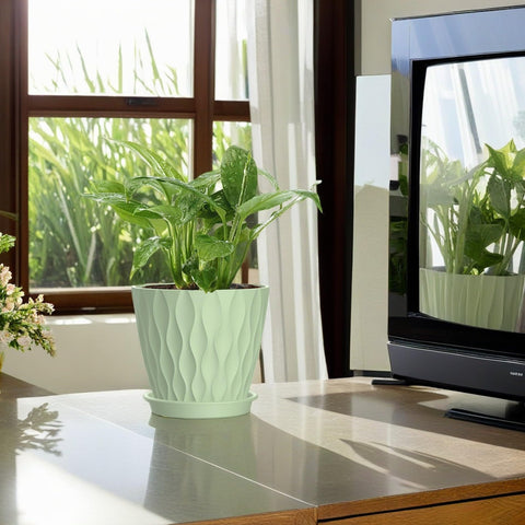 SQKH home decor planter for orchids, succulents, and herbs.