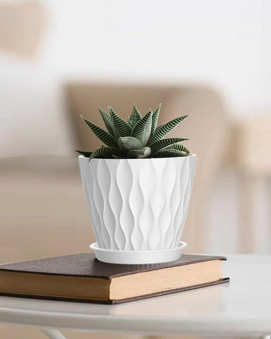 SQKH indoor-outdoor 6-inch pot fits versatile spaces.