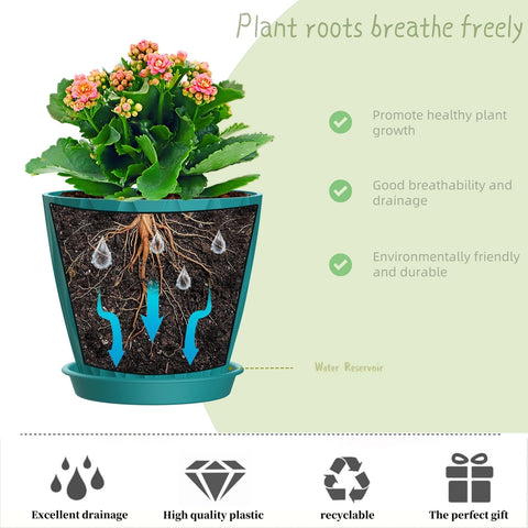 SQKH indoor plant pot on windowsill decor for small spaces.