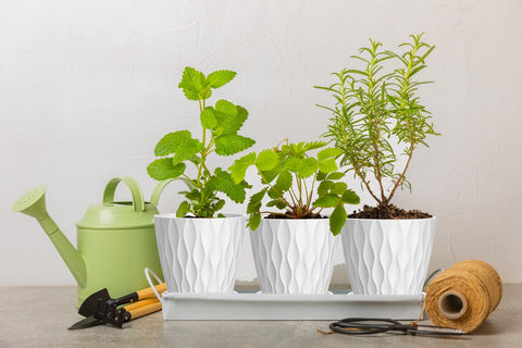 SQKH indoor planter on windowsill enhances home decor.