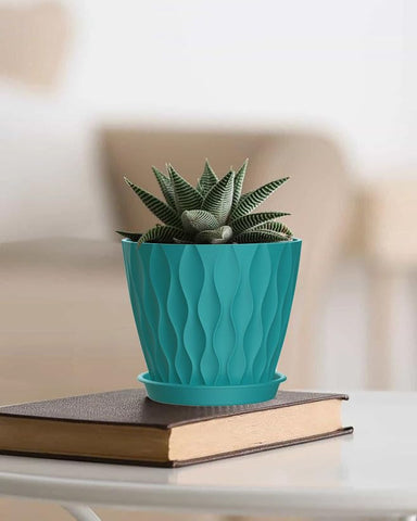 SQKH kitchen counter mini planter for herbs and greens.