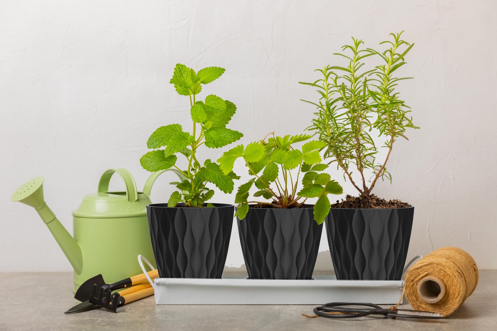 SQKH modern striped pattern pot for a contemporary windowsill display