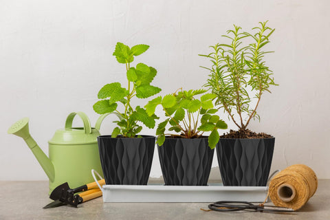 SQKH modern striped pattern pot for a contemporary windowsill display