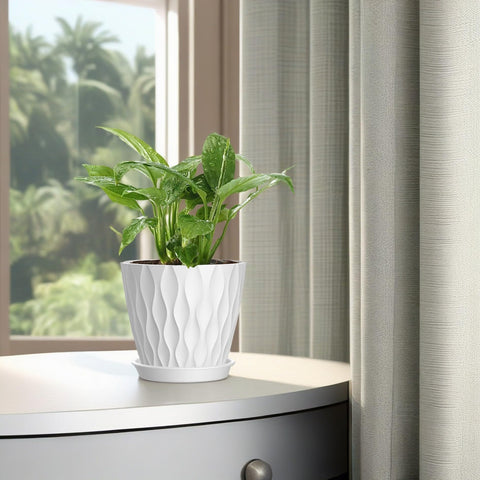SQKH office desk plant pot keeps greens near work.