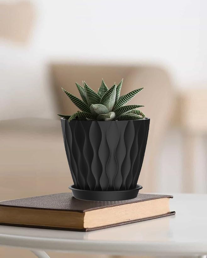 SQKH versatile pots for orchids, succulents, and kitchen plants
