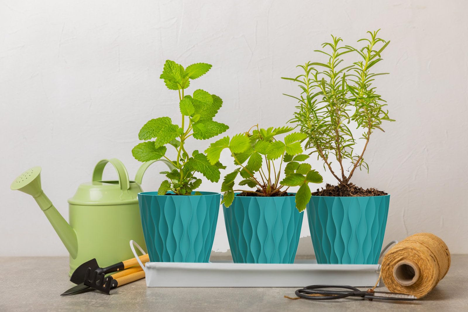 SQKH orchid and herb 4 inch pot for versatile indoor planting.