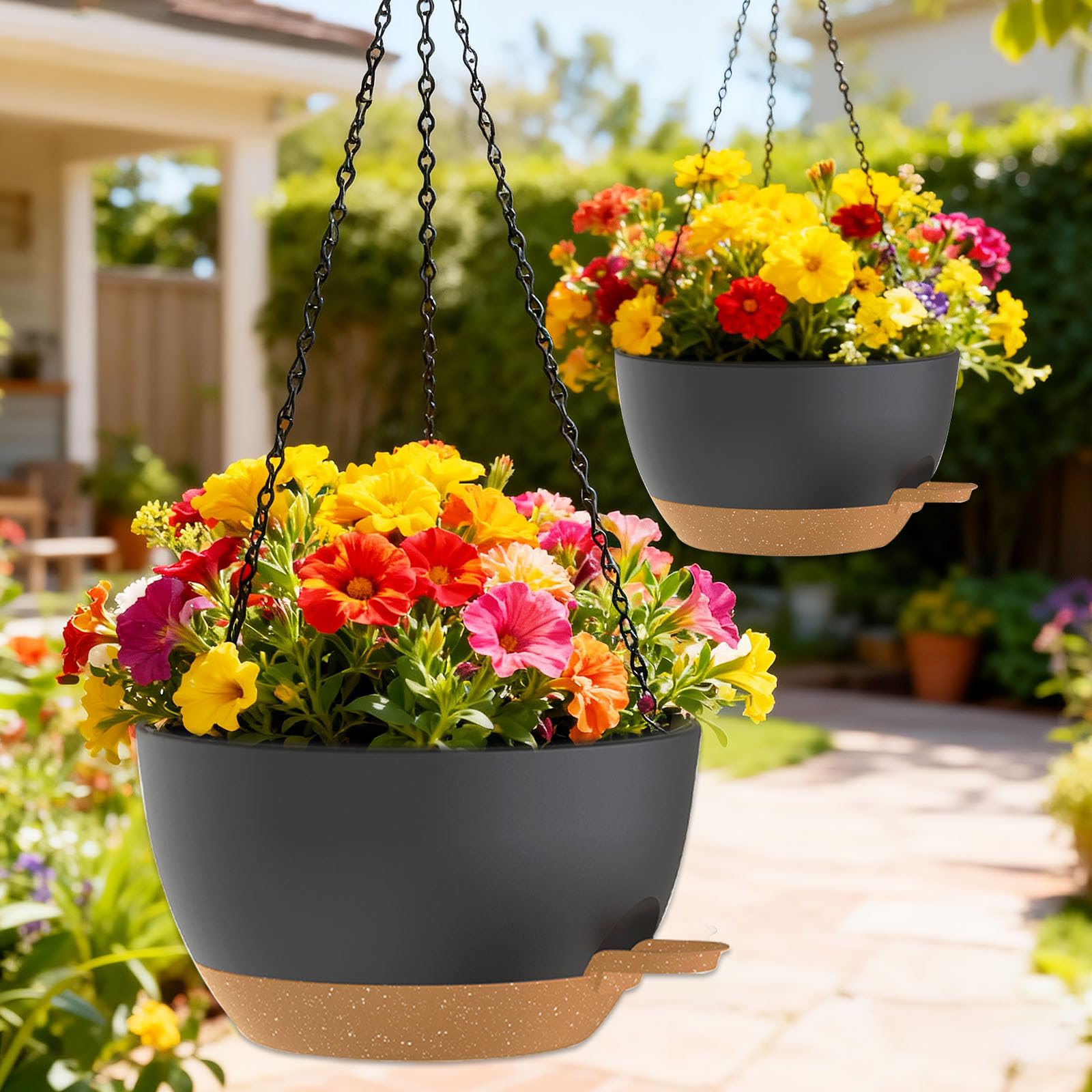 SQKH generous 12-inch space supports ivy, herbs, ferns, and succulents.