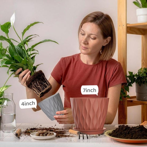 SQKH 5-inch planter suitable for indoor herbs or small plants