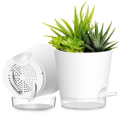 SQKH 8-inch self-watering pot set ideal for medium to large plants, easy care.
