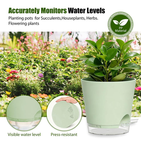 SQKH two-pack planter set ideal for DIY decoration and gifting