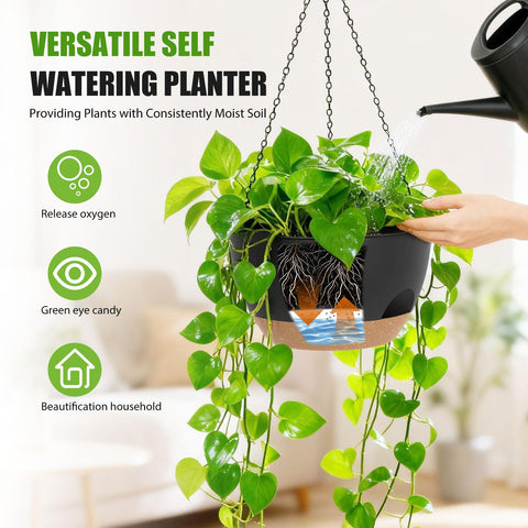 Self-watering compartment in SQKH planter helps keep plant roots hydrated.