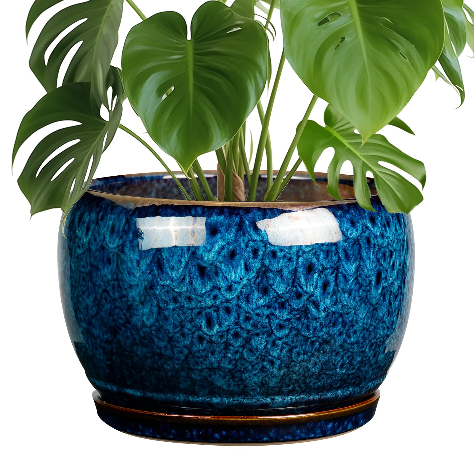 SQOWL 10 inch blue ceramic plant pot with glaze for indoor decor.