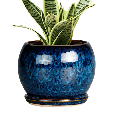 SQOWL 6-inch blue glaze plant pot on a windowsill for stylish indoor decor