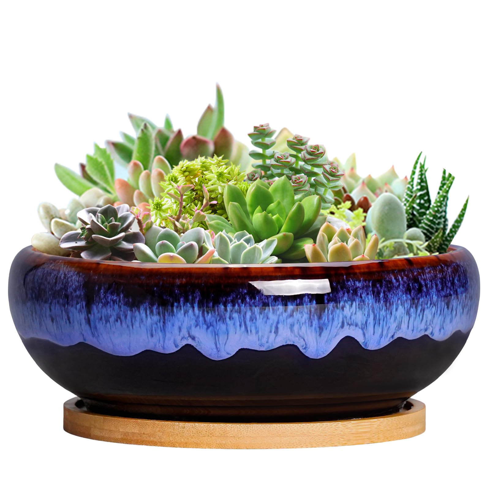 SQOWL 7 Inch Round Ceramic Planter with drip glaze for stylish indoor succulent display.