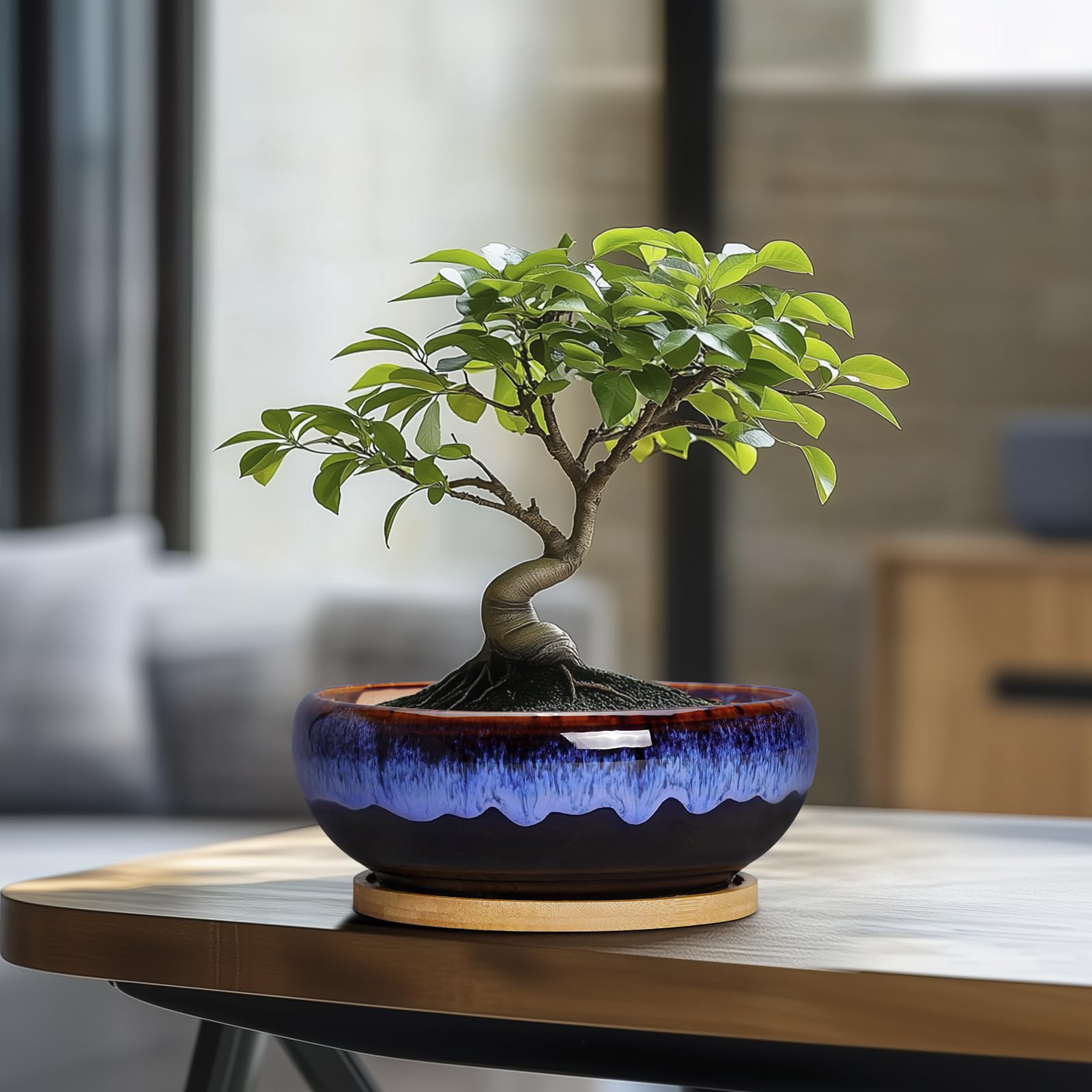 SQOWL bamboo tray captures excess water and keeps surfaces clean.