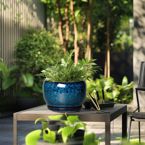 SQOWL blue patio indoor ceramic pot enhances any space.