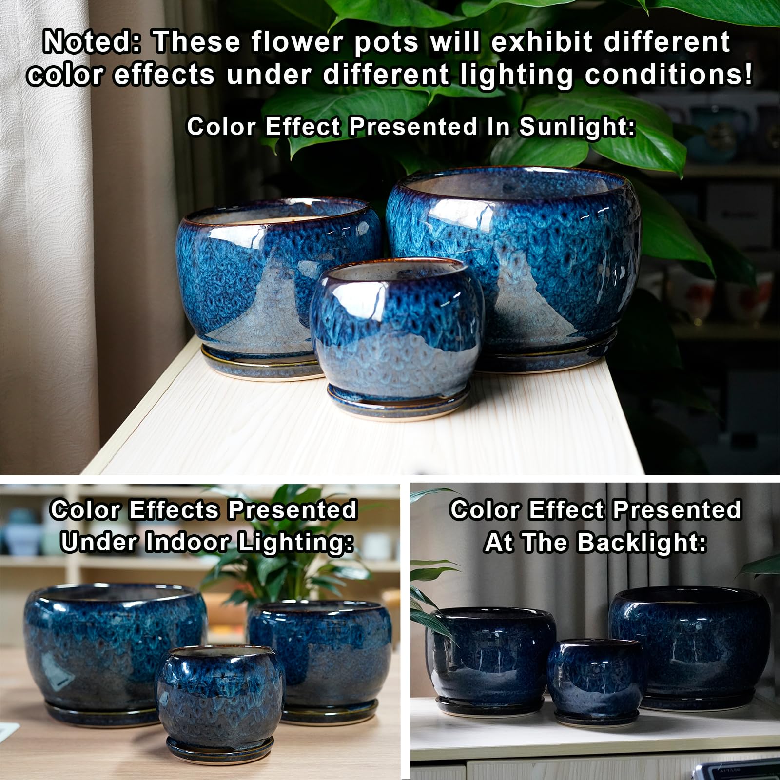SQOWL bonsai pot blue glaze suitable for compact trees.