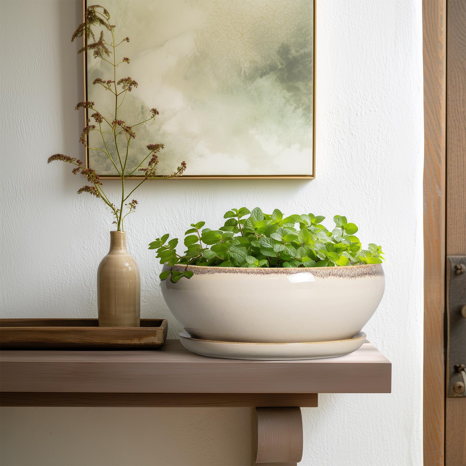 SQOWL bonsai pot designed for indoor and outdoor use with durable ceramic.