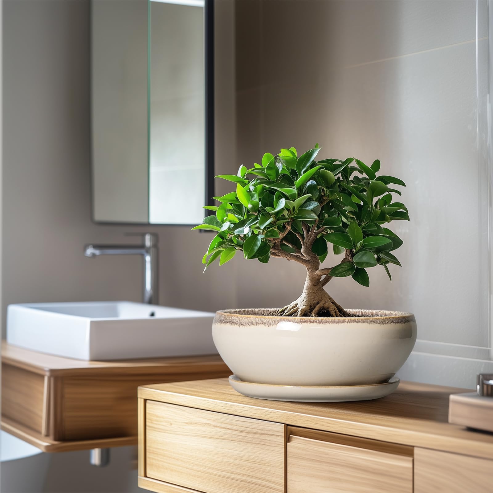 SQOWL bonsai pot includes mesh pad for filtration and stability.