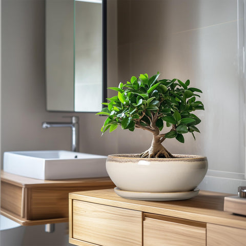 SQOWL bonsai pot includes mesh pad for filtration and stability.