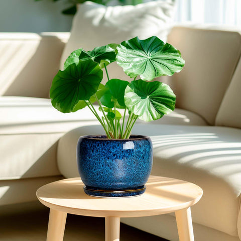 SQOWL planter close-up texture in blue glaze for stylish decor