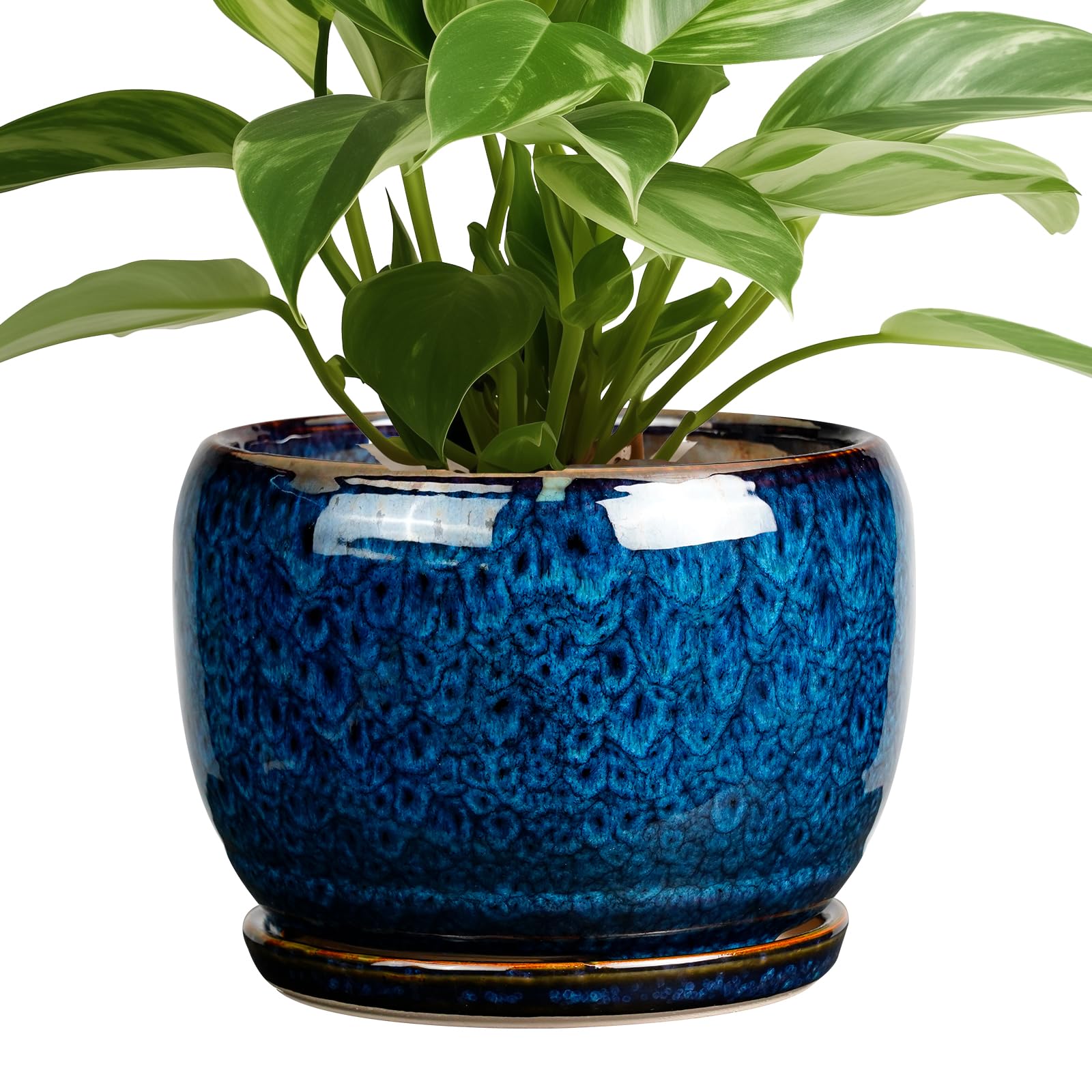 SQOWL ceramic planter in blue glaze, front view, ideal for indoor display with drainage
