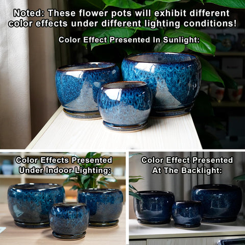 SQOWL planter in indoor office setting with greenery for modern decor