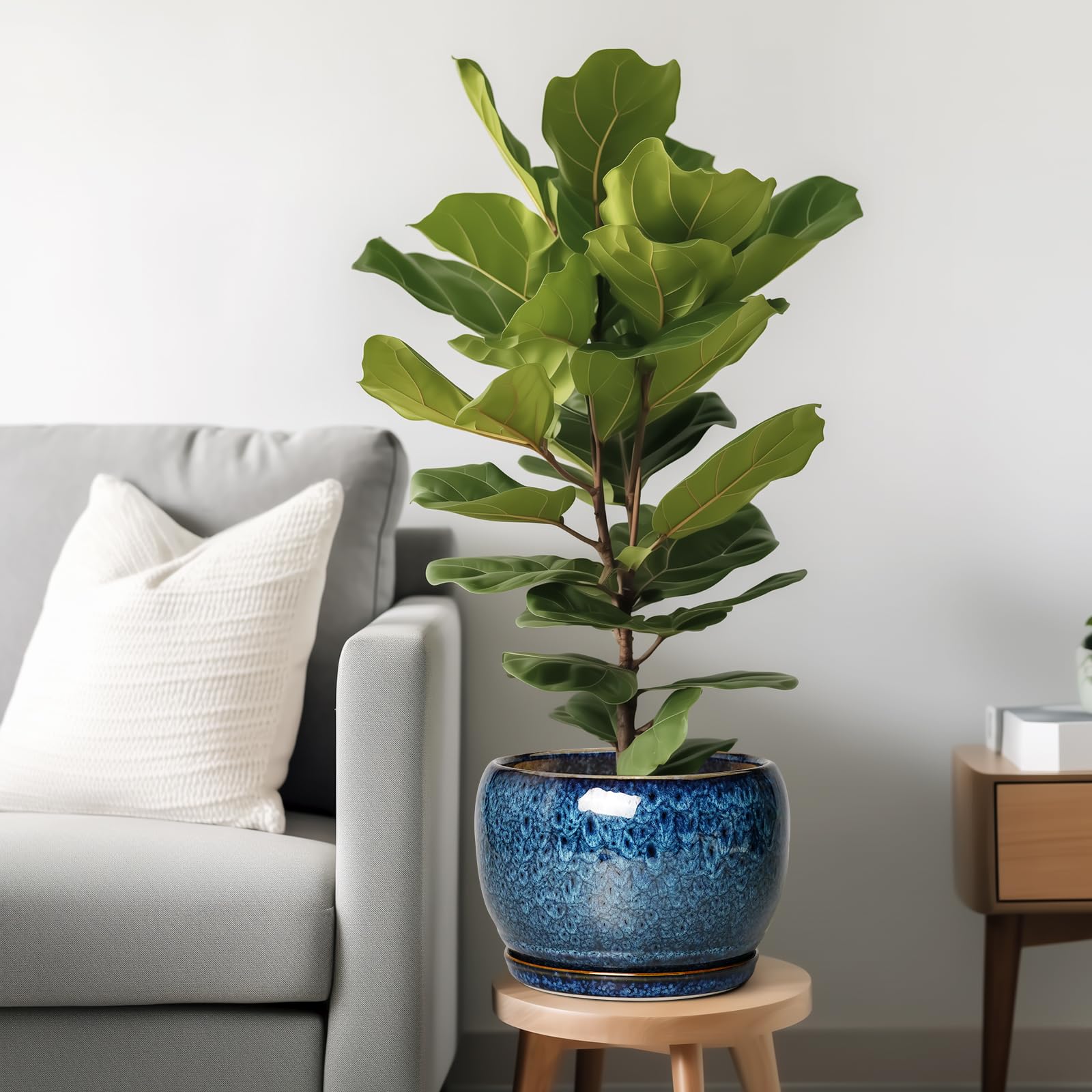 SQOWL ceramic planter with drainage hole and saucer for healthy roots.