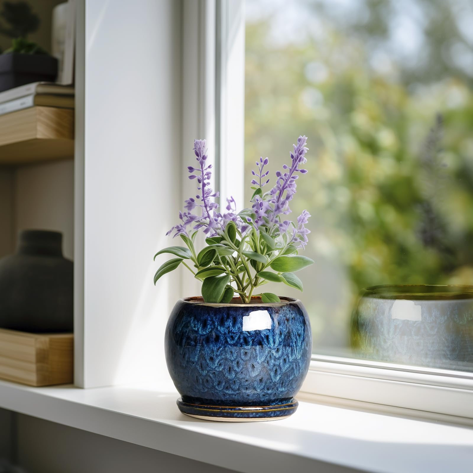 Ceramic planter with tray and drainage hole shown for moisture control