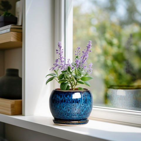 Ceramic planter with tray and drainage hole shown for moisture control