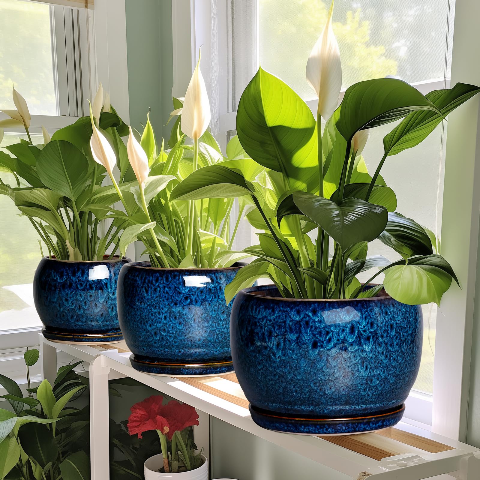 Ceramic pot with mesh pad demonstrating moisture management