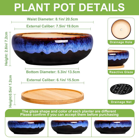 SQOWL ceramic planter with drainage hole and bamboo tray for mess-free watering.