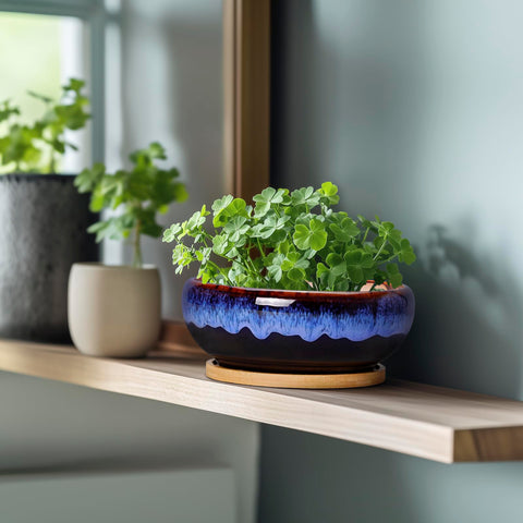 SQOWL glazed ceramic finish pots add vintage rustic charm to shelves.