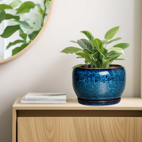 SQOWL plant pot with tray catches overflow for tidy placement.