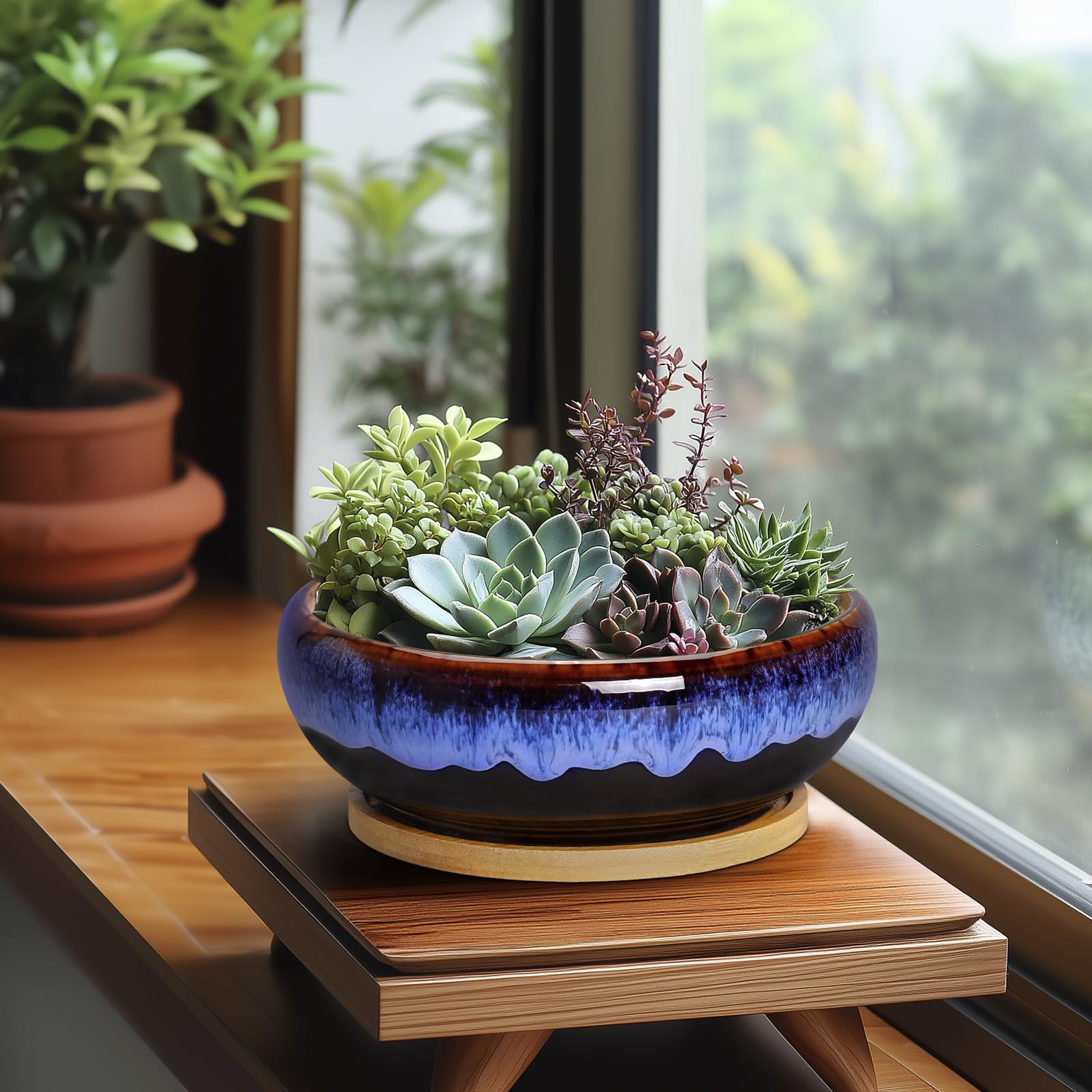 SQOWL round indoor planter ideal for compact succulent or herb arrangements.
