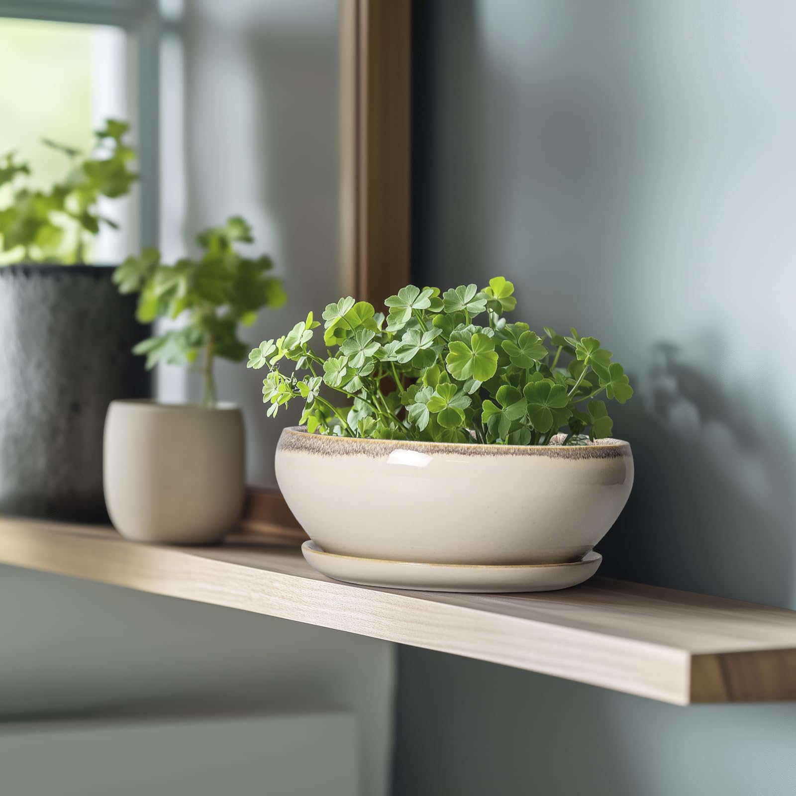 SQOWL ceramic pot features drainage hole to prevent overwatering in indoor gardens.