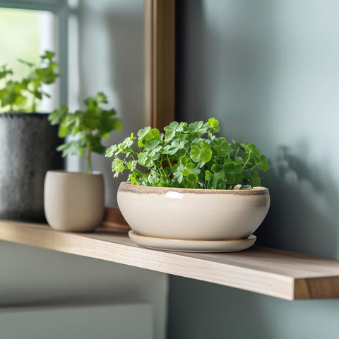 SQOWL ceramic pot features drainage hole to prevent overwatering in indoor gardens.