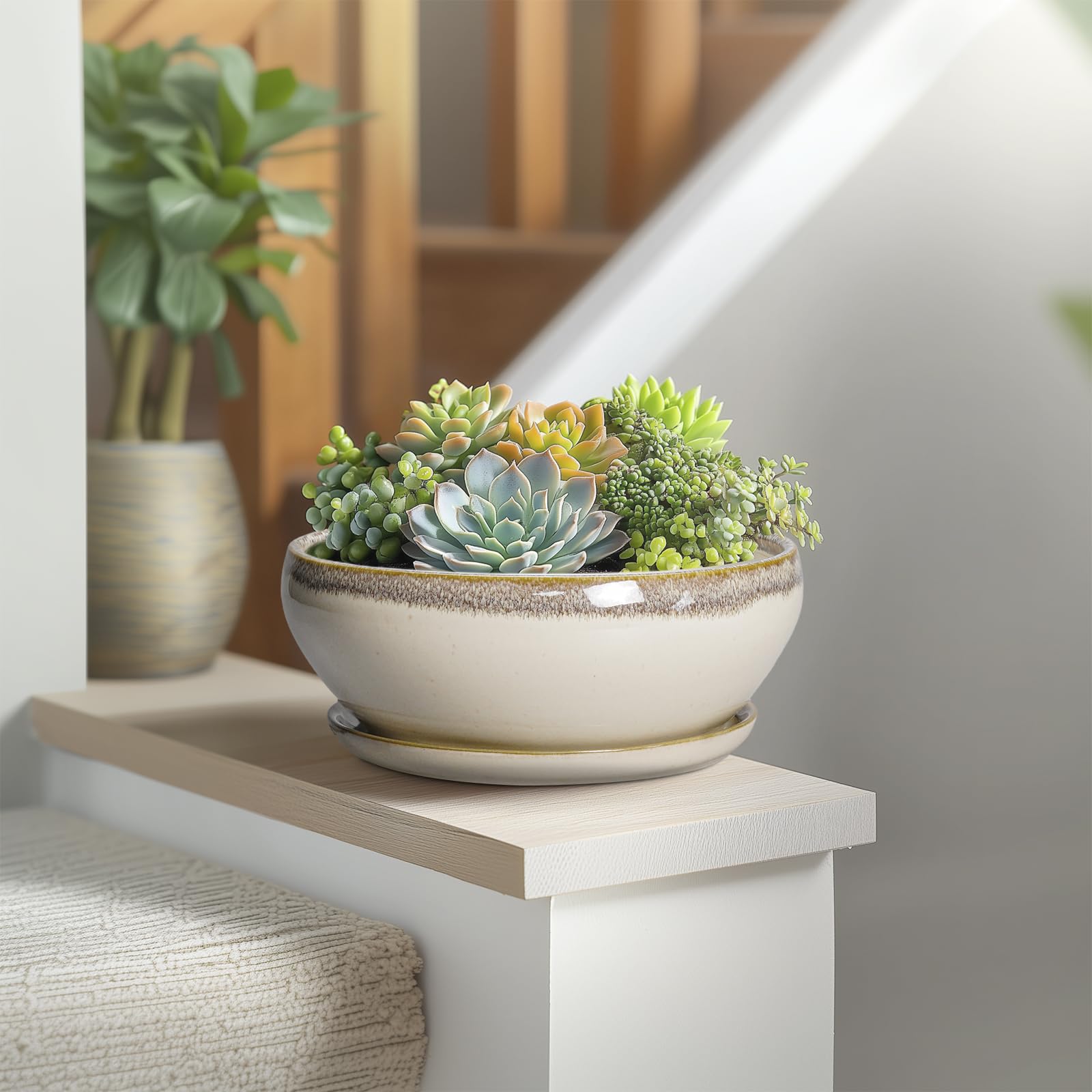 SQOWL 8-inch pot suited for indoor or outdoor use, with stable saucer.
