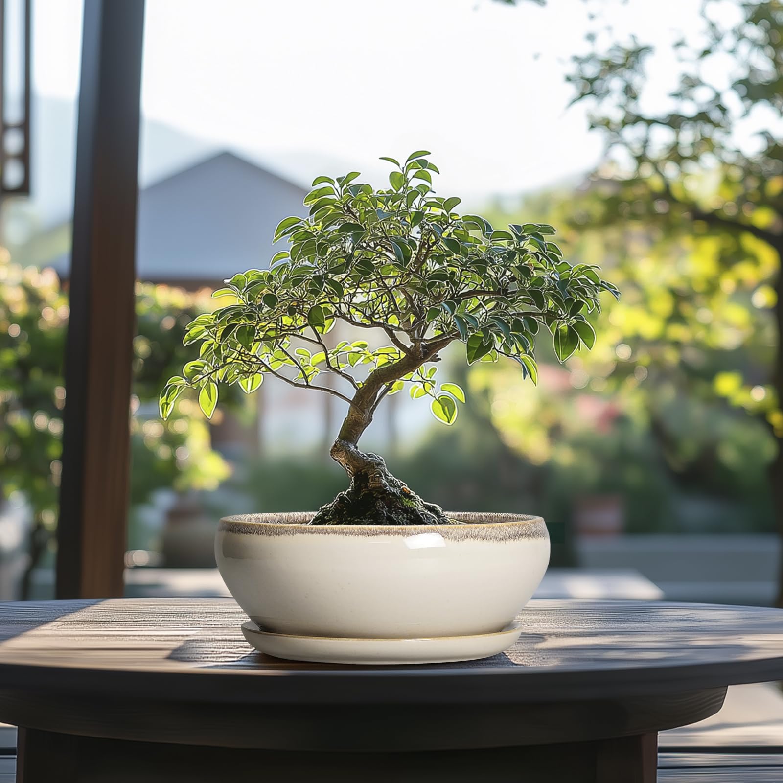 SQOWL versatile plant pot works with many plant types and arrangements.