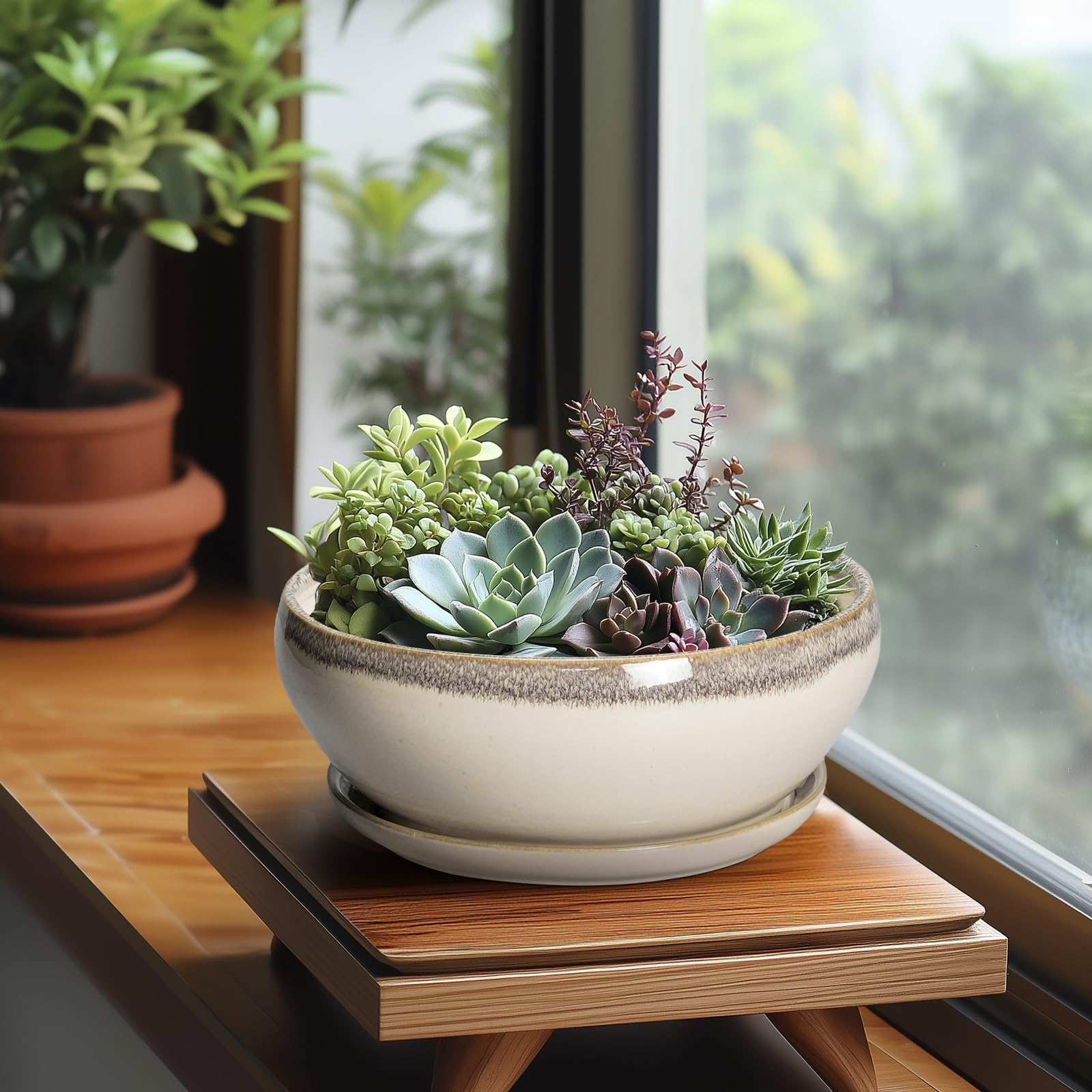 SQOWL 8-inch pot with removable ceramic saucer for tidy drainage management.
