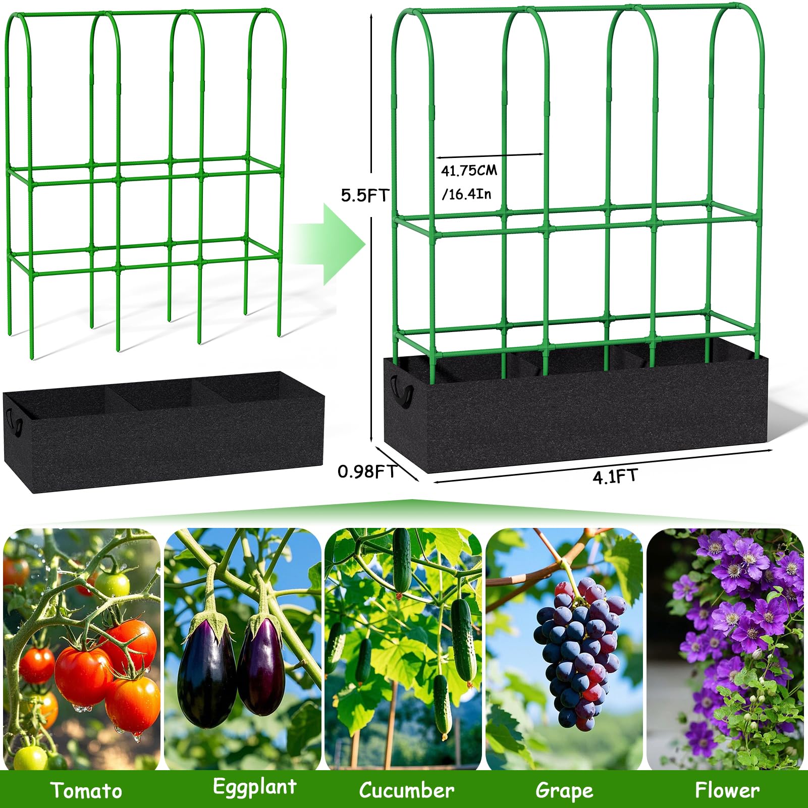 Srapwati vertical garden support simplifies staking across multiple plant types.
