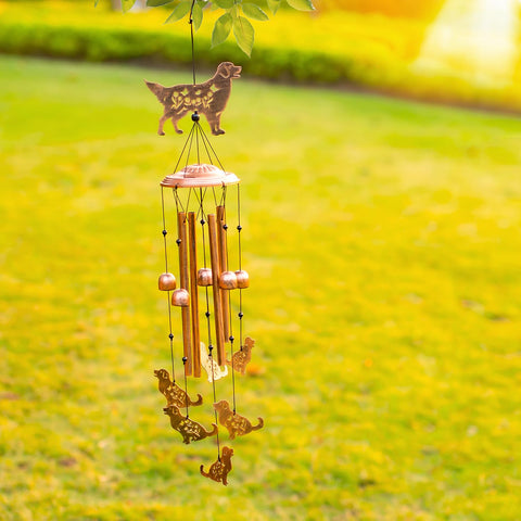 SRDJXY Weatherproof design resists rain and sun for year-round display.