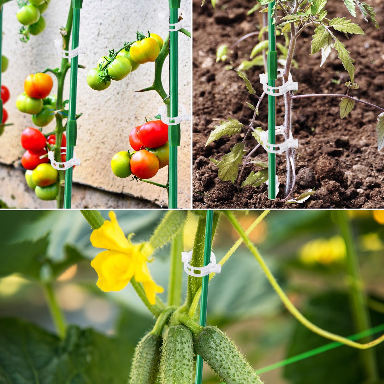 Srmayyi clear garden clips secure stems quickly with minimal visual impact
