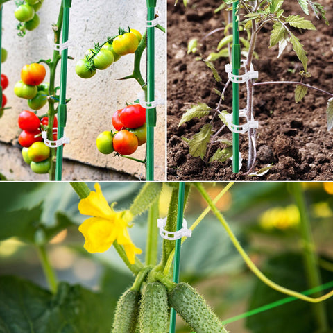 Srmayyi clear garden clips secure stems quickly with minimal visual impact