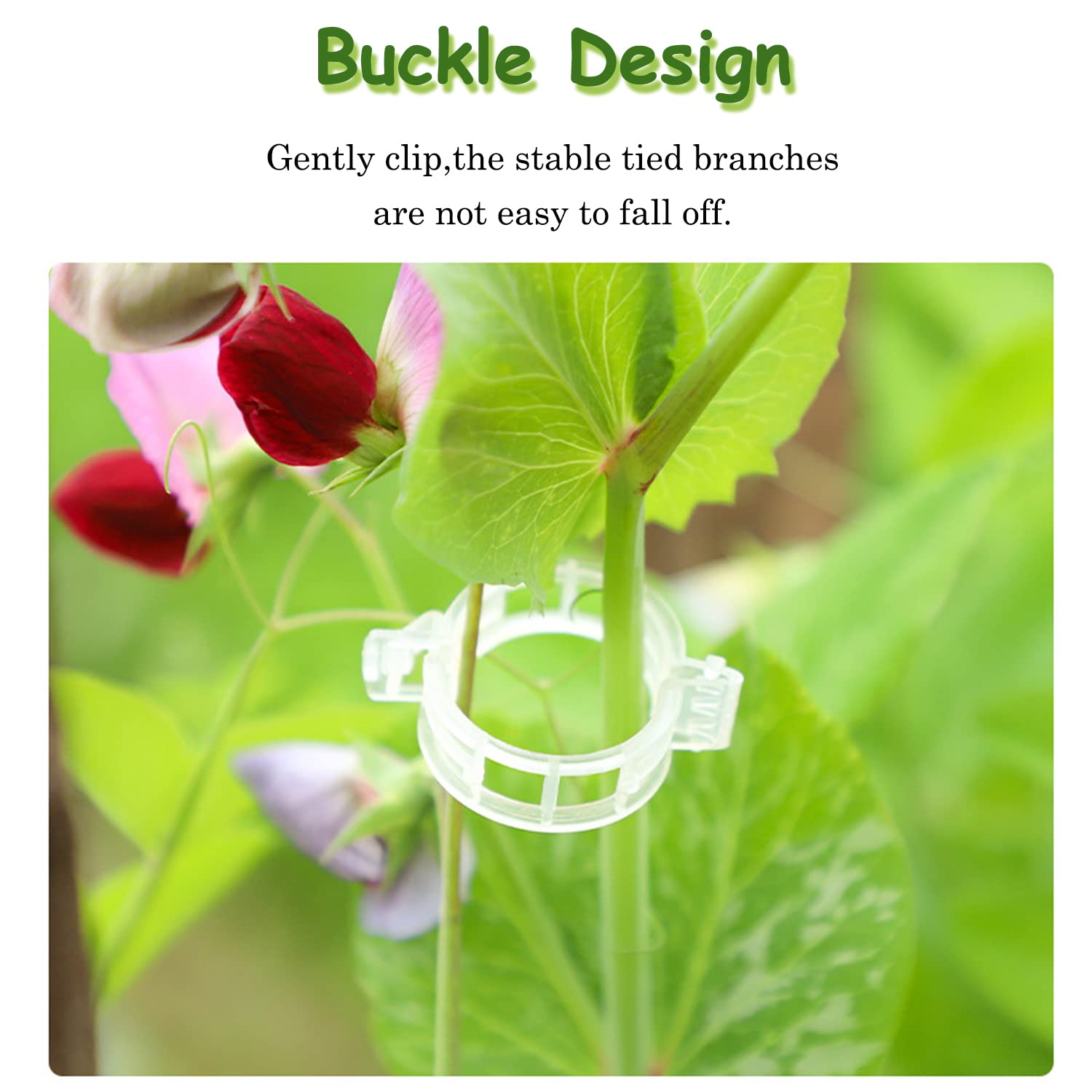 Srmayyi cucumber clips secure vines, reducing trellis setup effort