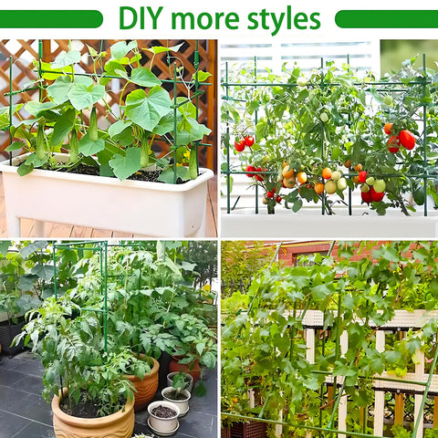 Srmayyi plant-support system suitable for indoors and outdoors